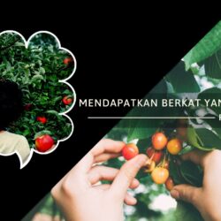 Mendapatkan Berkat Yang Lebih Besar